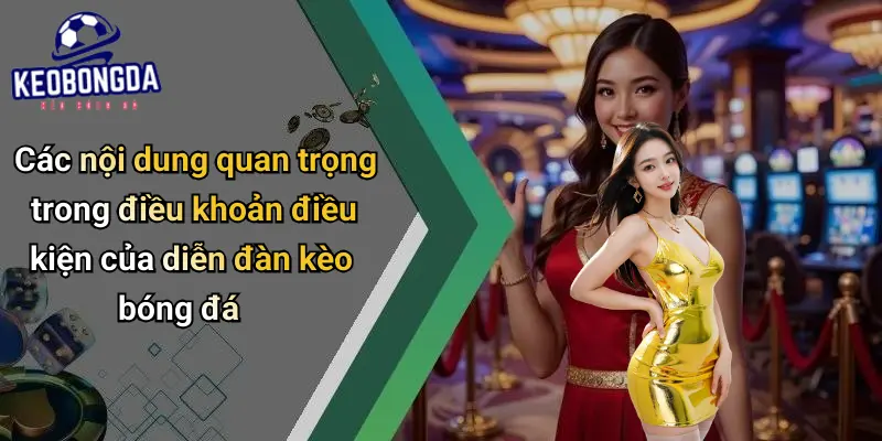 Điều Khoản Điều Kiện