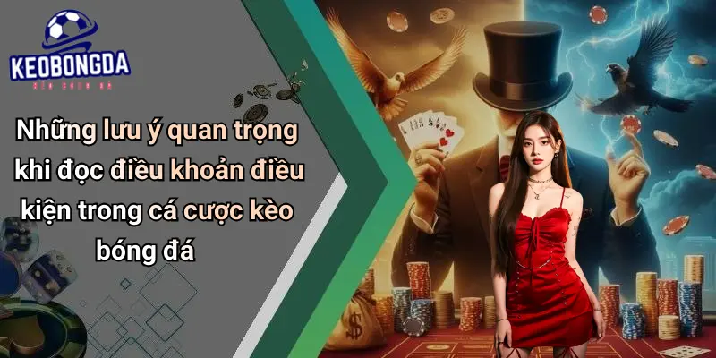 Điều Khoản Điều Kiện