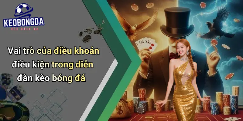 Điều Khoản Điều Kiện