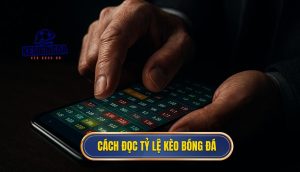 Cách đọc tỷ lệ kèo bóng đá
