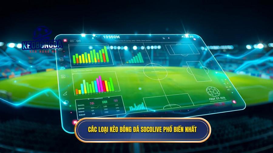 Các loại kèo bóng đá Socolive phổ biến nhất