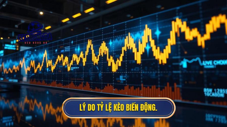 3. Lý do tỷ lệ kèo biến động.