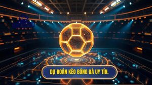 dự đoán kèo bóng đá