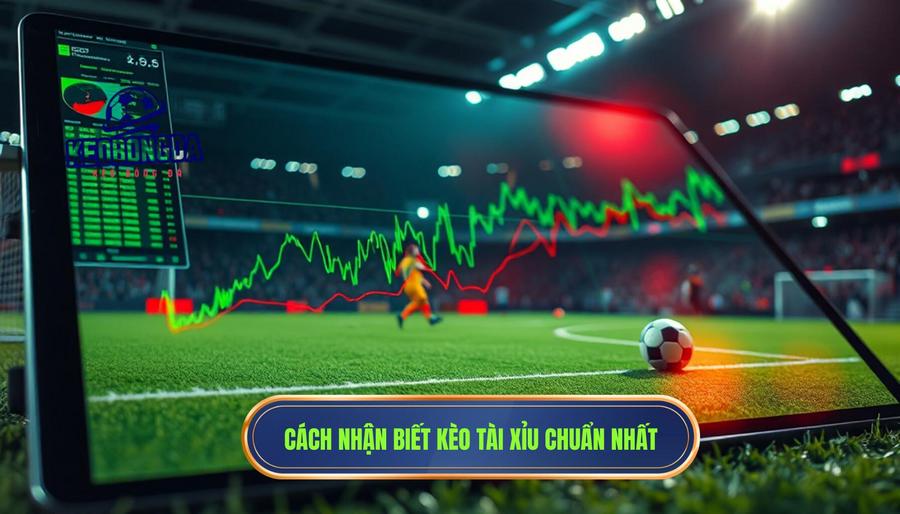 Các dấu hiệu nhận biết Tài xỉu trận này đang “mở” hay “đóng”? đọc sao cho chuẩn